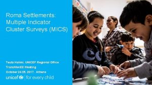 Roma Settlements Multiple Indicator Cluster Surveys MICS Teuta