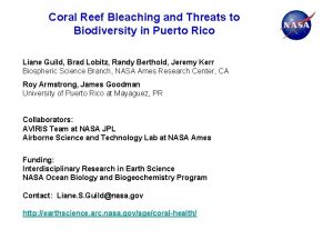 Coral Reef Bleaching and Threats to Biodiversity in