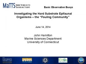 Basic Observation Buoys Investigating the Hard Substrate Epifaunal
