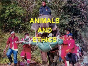 ANIMALS AND ETHICS GOOD FRIENDS BAD FRIENDS I