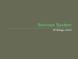 Nervous System AP BiologyUnit 9 Nervous System Major