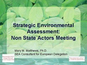 Strategic Environmental Assessment Non State Actors Meeting Mary