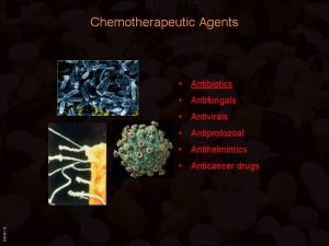 Chemotherapeutic Agents Antibiotics Antifungals Antivirals Antiprotozoal Antihelmintics BIMM