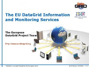 The EU Data Grid Information and Monitoring Services