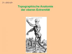 Dr Altdorfer Topographische Anatomie der oberen Extremitt Rigorosum