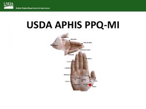 USDA APHIS PPQMI Who we are Who we