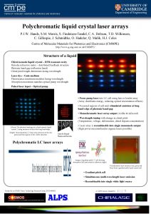 Polychromatic liquid crystal laser arrays P J W