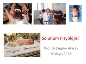 Solunum Fizyolojisi Prof Dr Begm Atasay 8 Mays