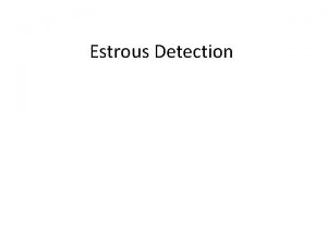 Estrous Detection Estrus The period of sexual excitement