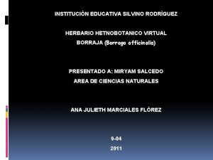 INSTITUCIN EDUCATIVA SILVINO RODRGUEZ HERBARIO HETNOBOTANICO VIRTUAL BORRAJA