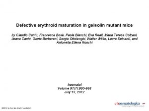 Defective erythroid maturation in gelsolin mutant mice by