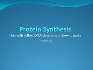 Protein Synthesis How cells follow DNA directions on