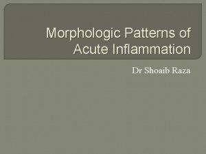 Morphological pattern of acute inflammation