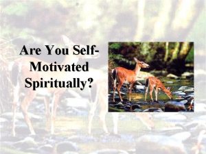 Are You Self Motivated Spiritually Are You Self