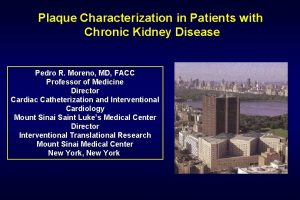 Plaque Characterization in Patients with Chronic Kidney Disease