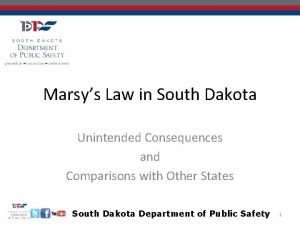 Marsys Law in South Dakota Unintended Consequences and