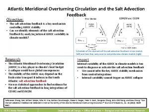 Atlantic Meridional Overturning Circulation and the Salt Advection