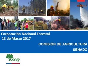 Corporacin Nacional Forestal 13 de Marzo 2017 COMISIN