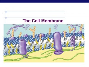 The Cell Membrane Overview Cell membrane separates living