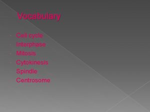 Vocabulary Cell cycle Interphase Mitosis Cytokinesis Spindle Centrosome