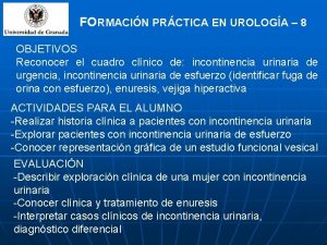Reflujo vesicoureteral grado 4