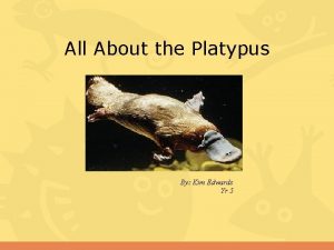 Life cycle of a platypus