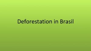Deforestation in Brasil Causes of Deforestation in Brazil