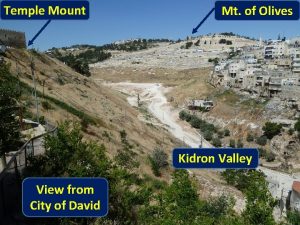 Temple Mount Mt of Olives Kidron Valley View