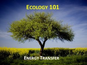 ECOLOGY 101 ENERGY TRANSFER THE SUN The sun