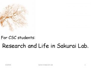 For CSC students Research and Life in Sakurai