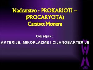 Procaryota