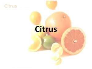 Citrus Introduction Origin South East Asia Family Rutaceae