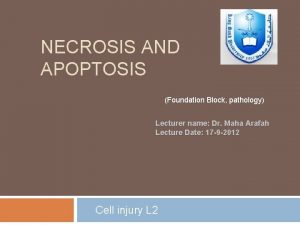 NECROSIS AND APOPTOSIS Foundation Block pathology Lecturer name