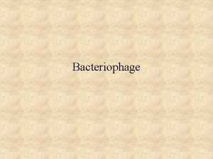 Bacteriophage Bacteriophage Phage Definition Obligate intracellular parasites that