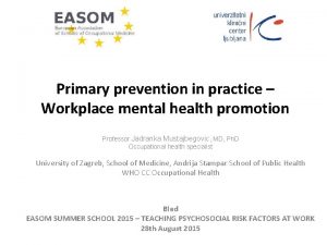 Primary prevention in practice Workplace mental health promotion