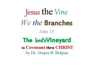 Jesus the Vine We the Branches John 15