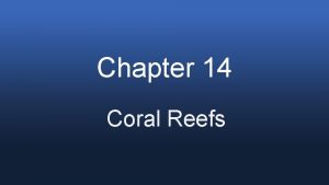Chapter 14 Coral Reefs Reef Building Organisms that