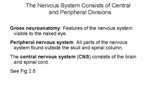 The Nervous System Consists of Central and Peripheral