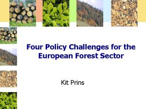 Four Policy Challenges for the European Forest Sector