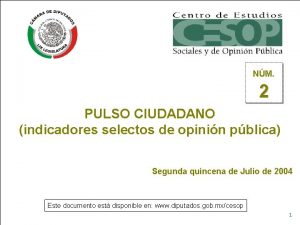 NM 2 PULSO CIUDADANO indicadores selectos de opinin