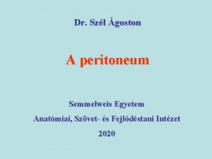 Dr Szl goston A peritoneum Semmelweis Egyetem Anatmiai