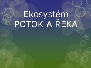 Ekosystm POTOK A EKA ROSTLINY potok a ek