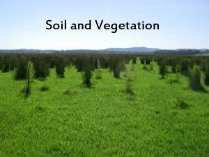 Soil and Vegetation Soil has 4 main parts