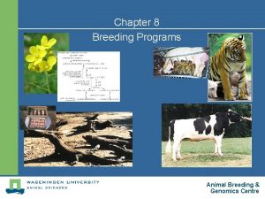 Chapter 8 Breeding Programs Animal Breeding Genomics Centre