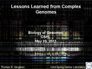 Lessons Learned from Complex Genomes Biology of Genomes