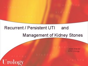 Recurrent Persistent UTI and Management of Kidney Stones