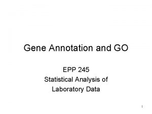 Gene Annotation and GO EPP 245 Statistical Analysis