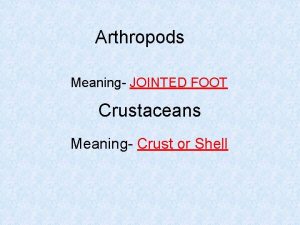 Arthropods Meaning JOINTED FOOT Crustaceans Meaning Crust or