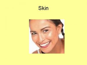 Skin Skin is the largest organ Many functions