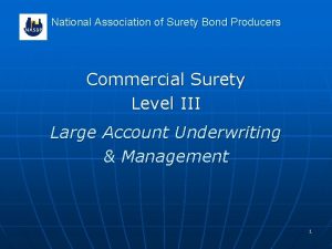 National Association of Surety Bond Producers Commercial Surety